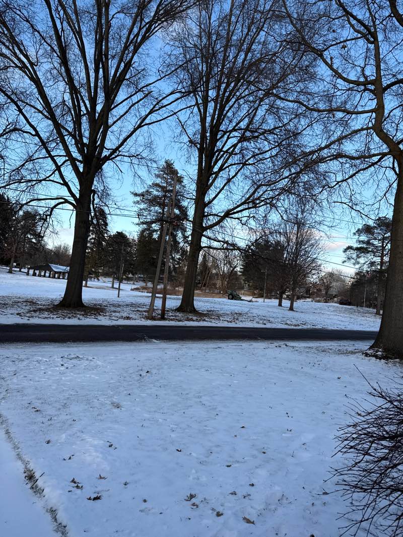 walking near me in Edgewood Park in winter