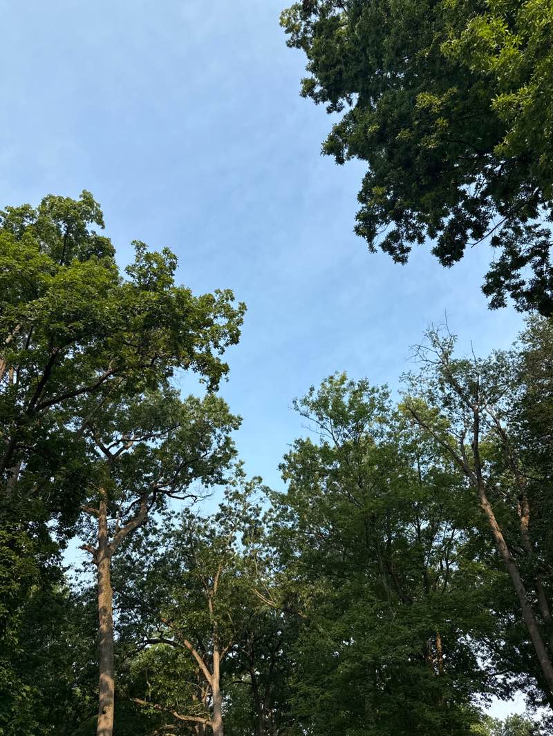 walking near me in Tuscora Park in summer