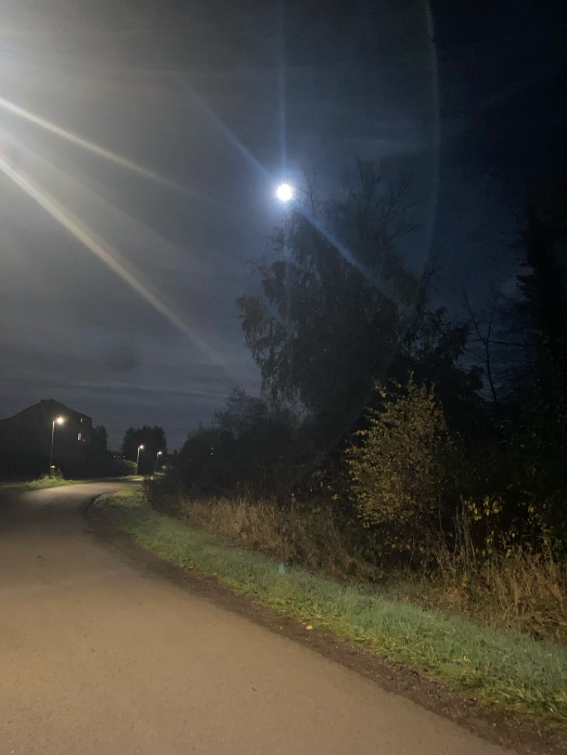 walking near me in Ludwigspark in autumn