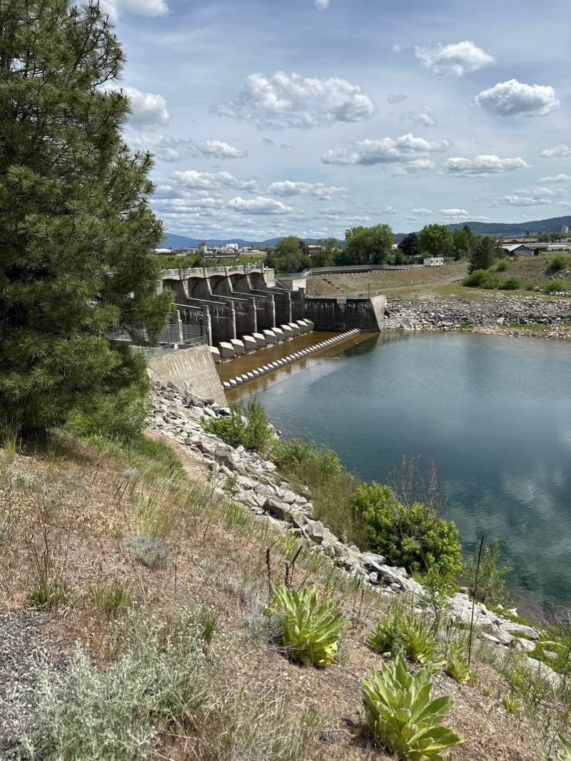 walking near me in John H. Shields Park in winter