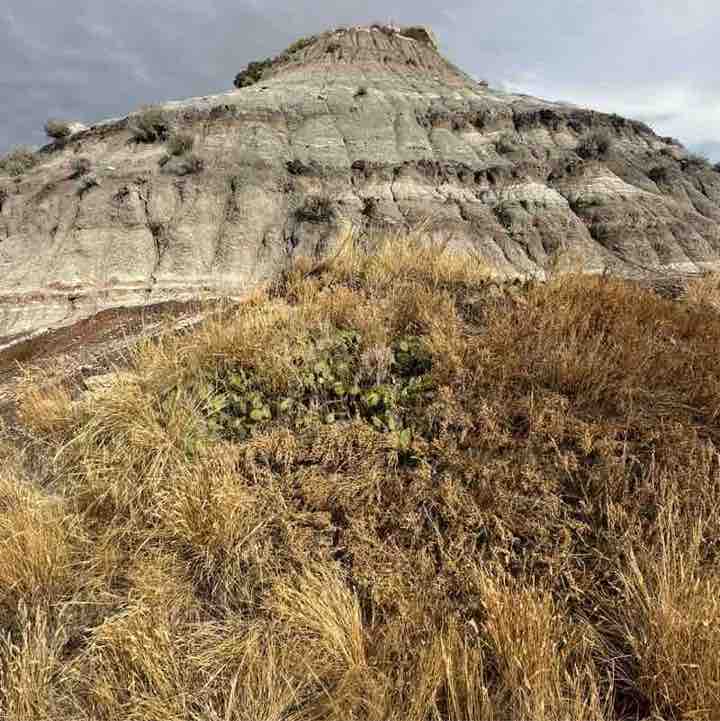 SSBEN Rachel post image