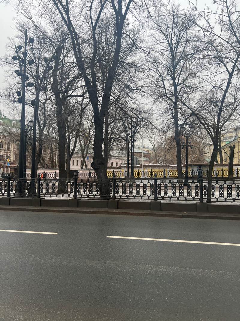 walking near me in Парк Матрешка in winter