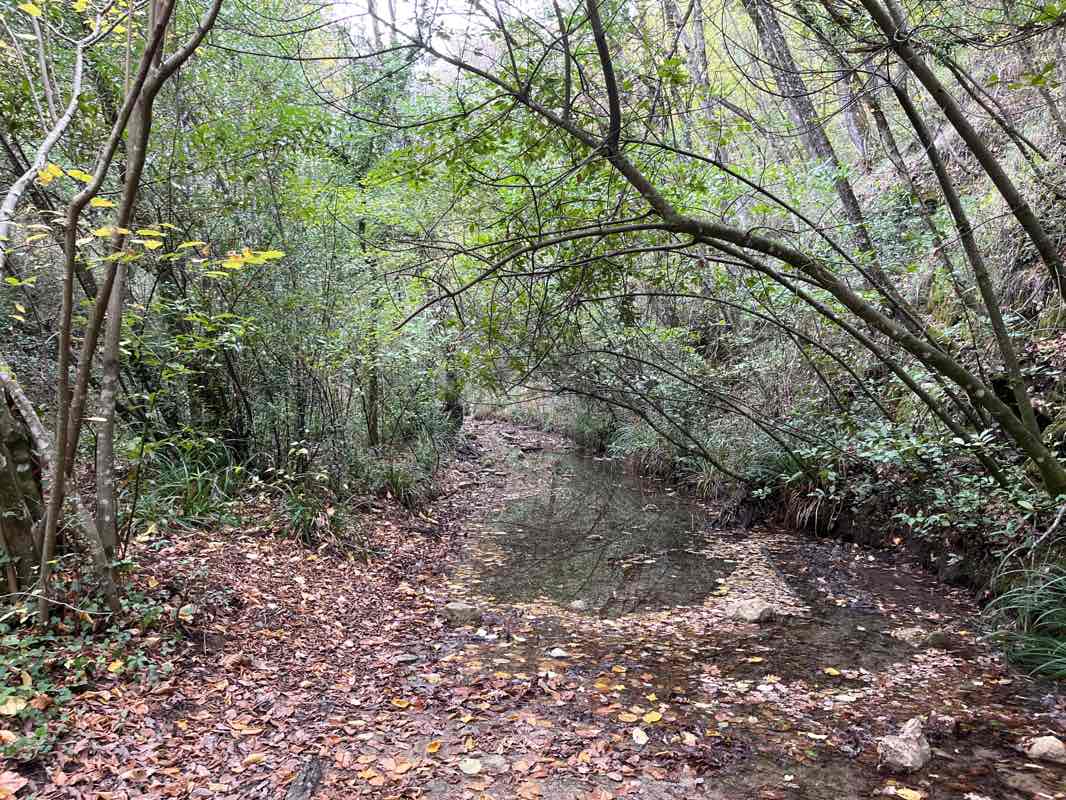 walking near me in Parco del Mensola in winter