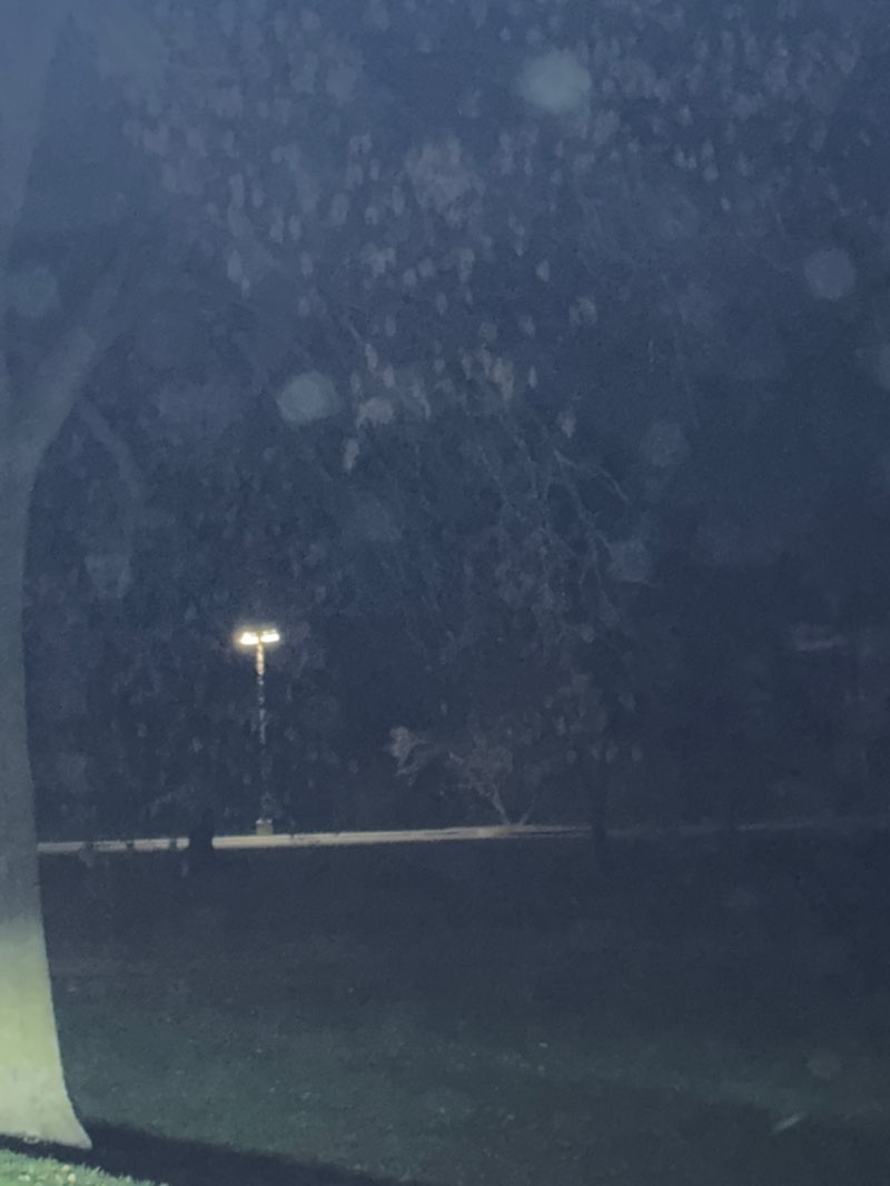 walking near me in Black Dog Park in autumn