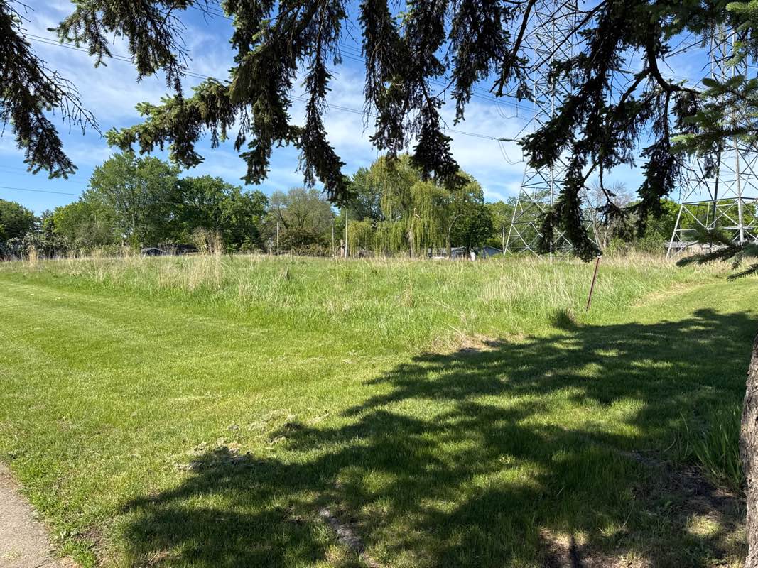 walking near me in Lake Park in spring