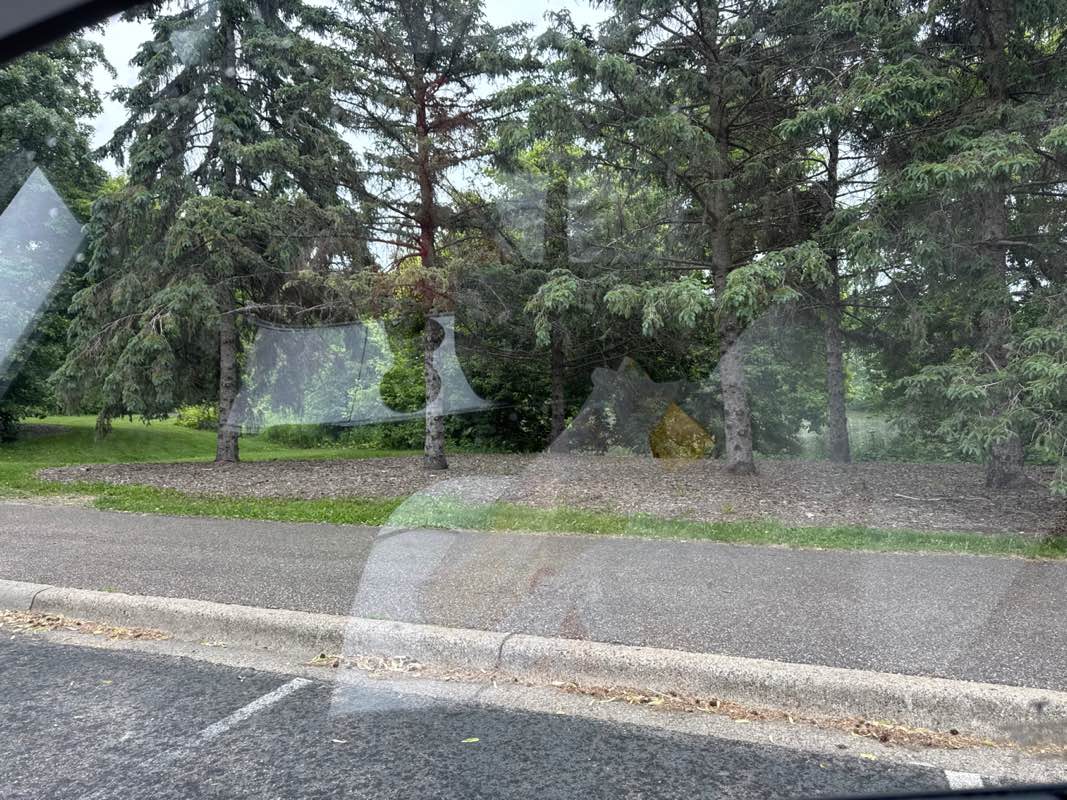 walking near me in Kettle Park in summer