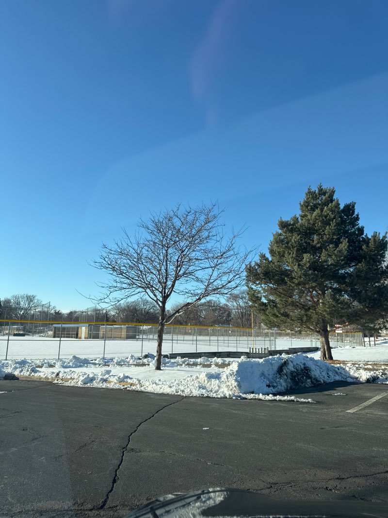 walking near me in Roosevelt Park in winter