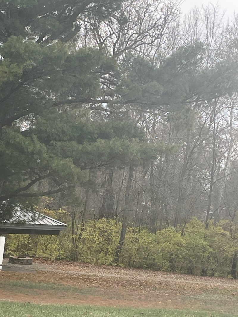 walking near me in Ox Bow County Park in autumn