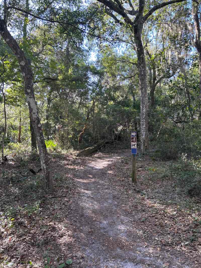walking near me in Moses Creek Conservation Area in winter