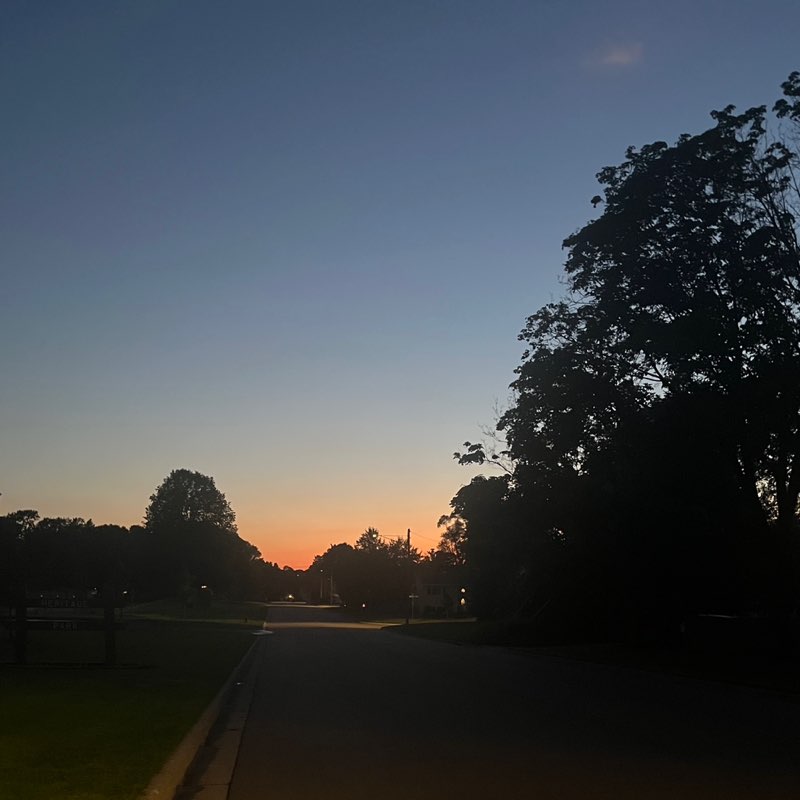 Debbie Zenner post 1