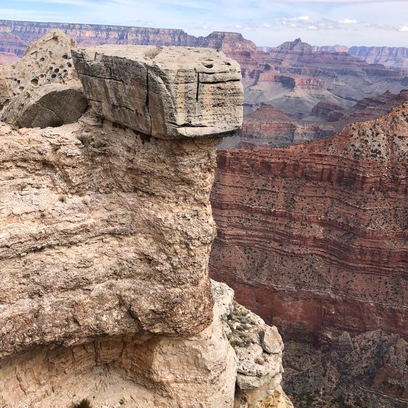 Rene Molinos profile