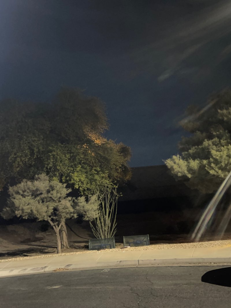 walking near me in Canyon Trails Park in spring