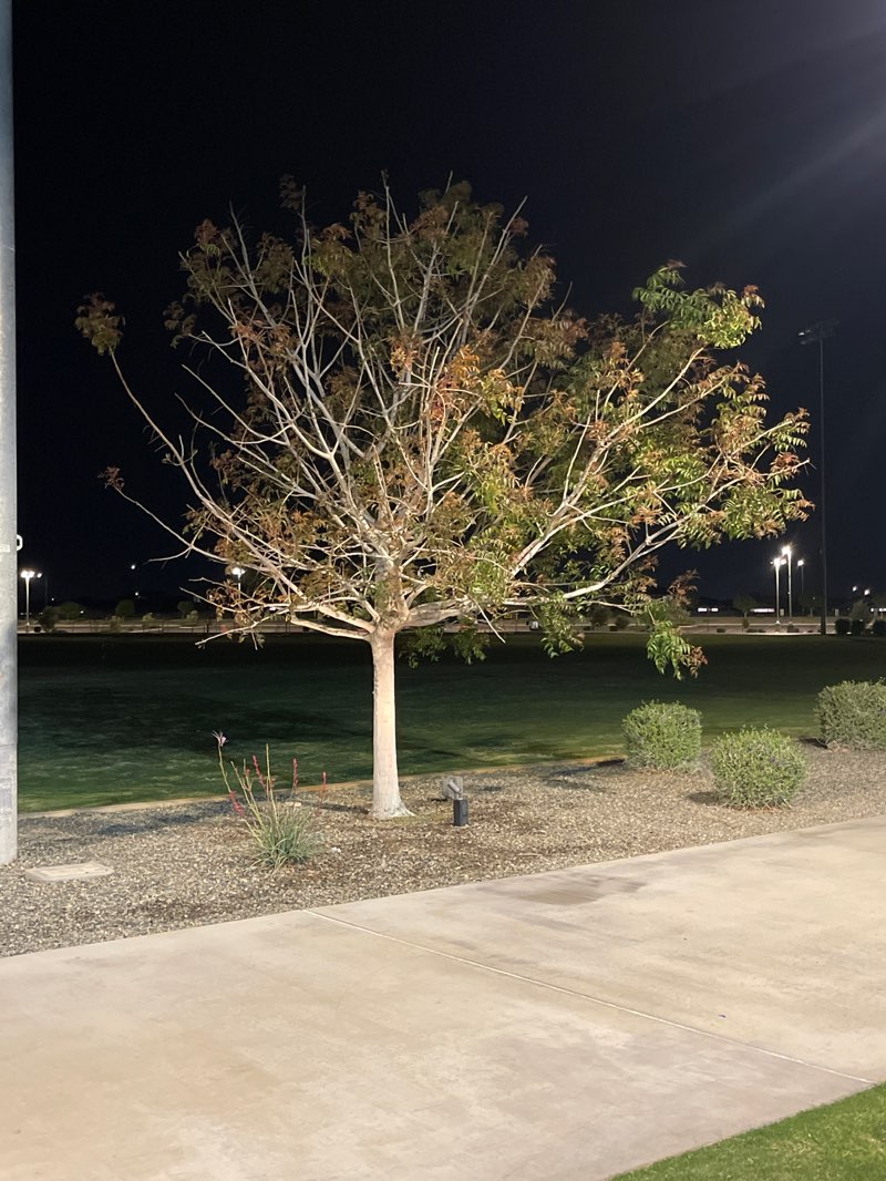 walking near me in Goodyear Recreation Campus in spring