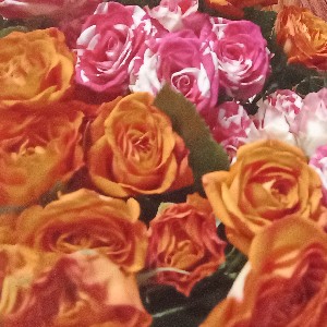 Голенцова Юлия