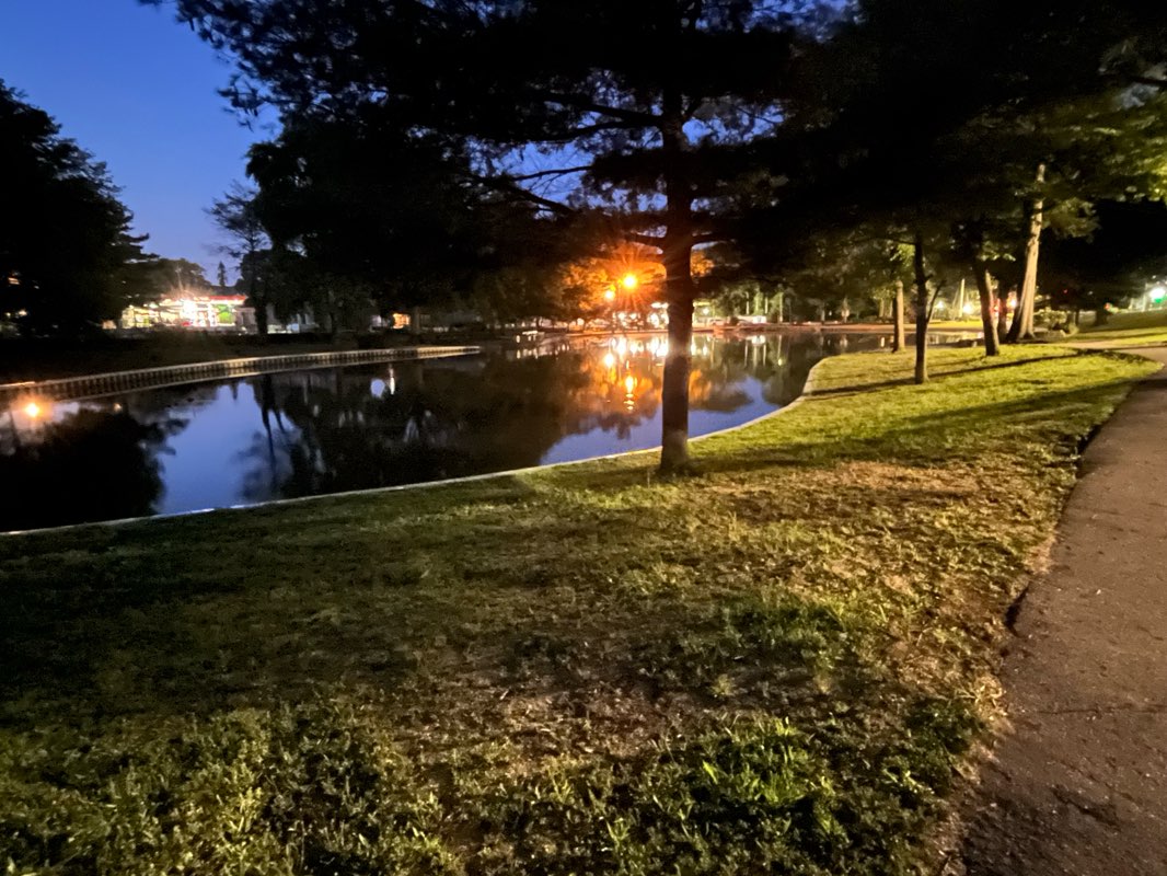 walking near me in Halls Pond Park in summer