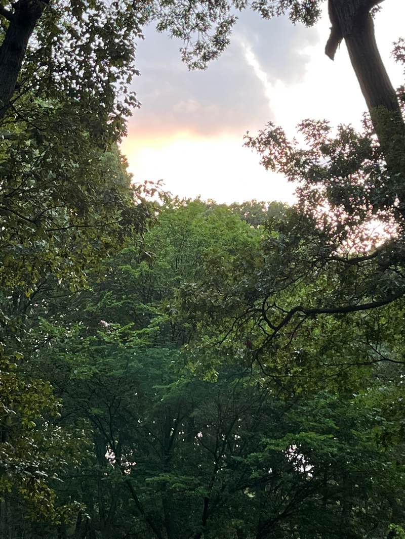 walking near me in Valley Stream State Park in autumn