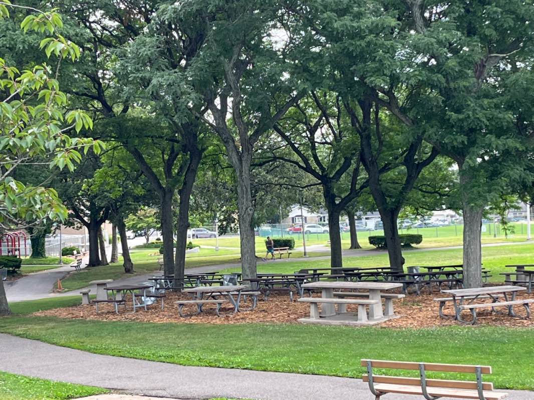 walking near me in Averill Boulevard Park in summer