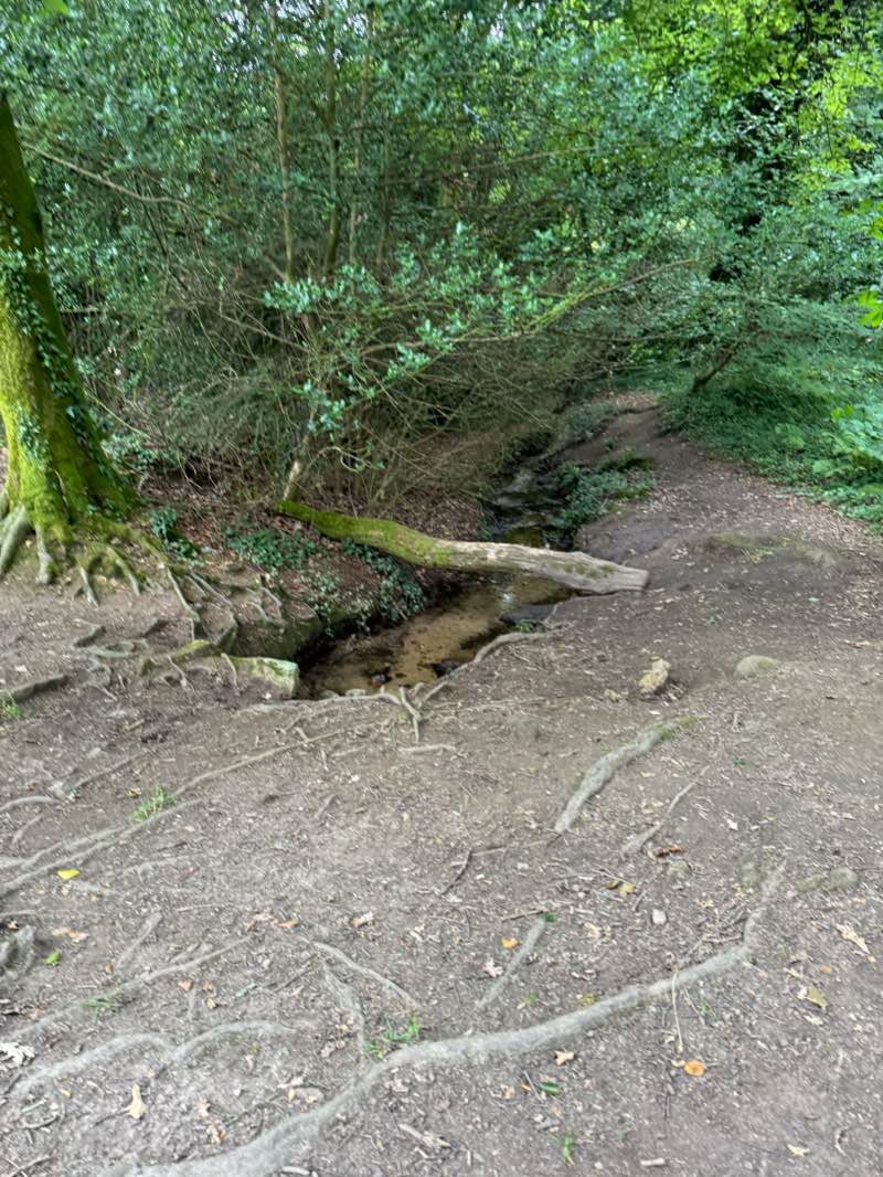 walking near me in Parc Botanique de Kerbihan in winter