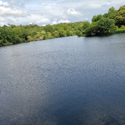 Mickael le Neuresse post 2