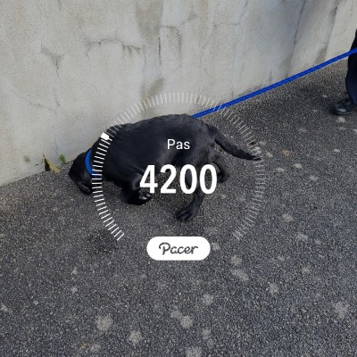 Mickael le Neuresse post 1