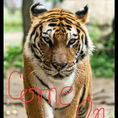 Come On Come On. Manoj Kumar๐ฎ๐ณ๐ฎ๐ณ๐ฎ๐ณ post image