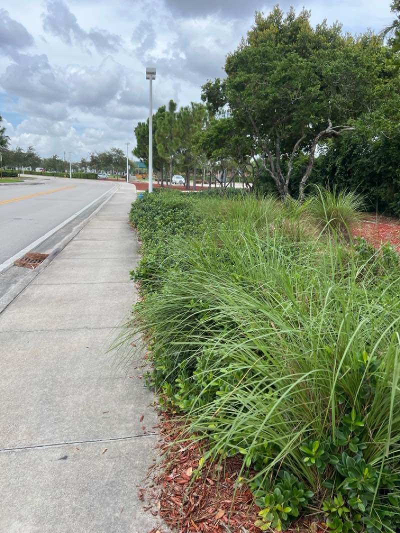walking near me in Pembroke Pines Memorial Park in autumn