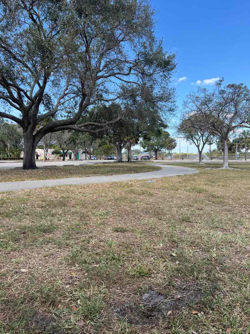 walking near me in Brian Piccolo Park in winter
