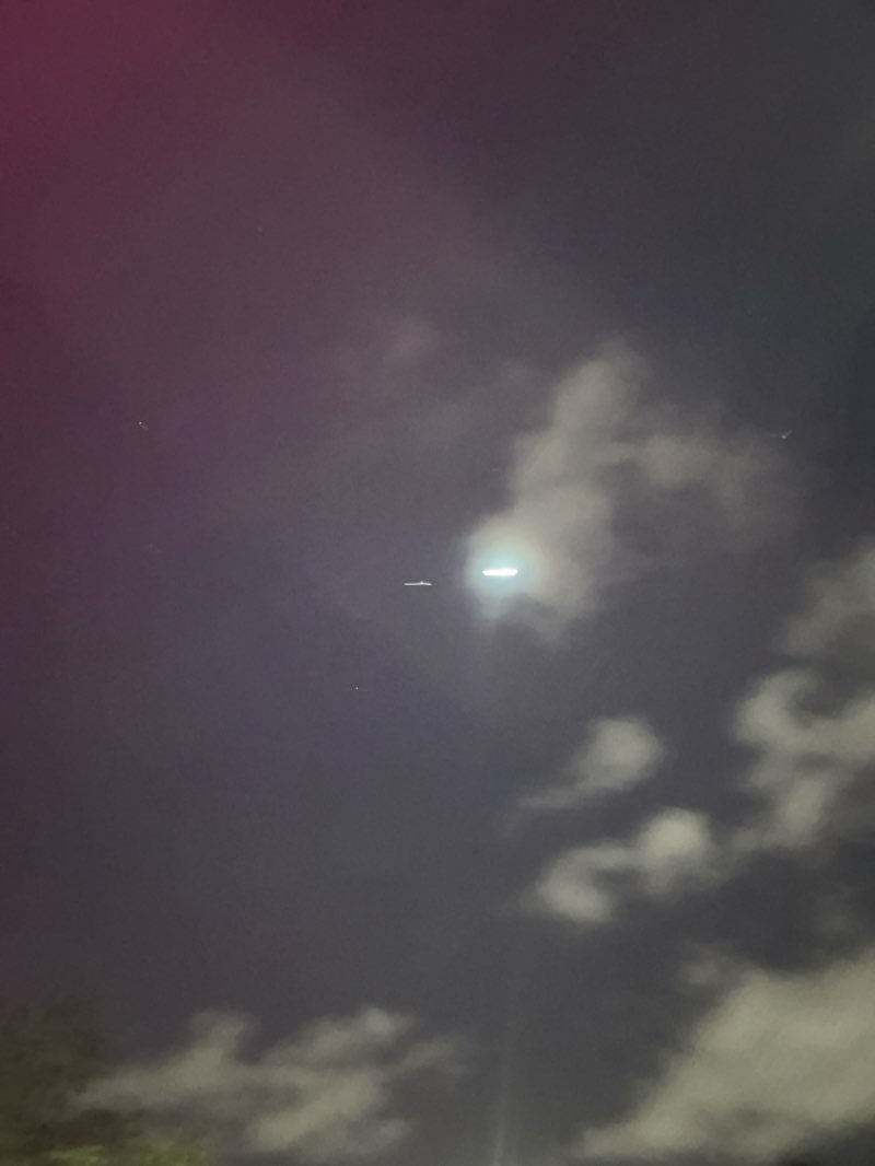 walking near me in Affron Park in spring