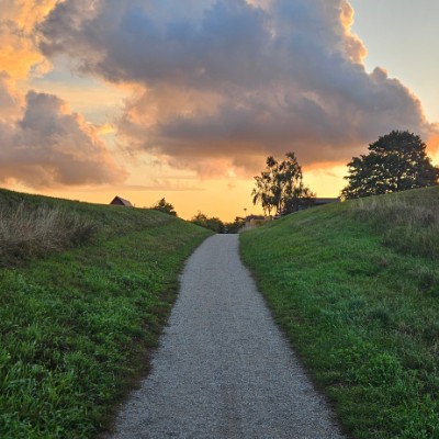 Grades Nordic Step Challenge Henrik post image