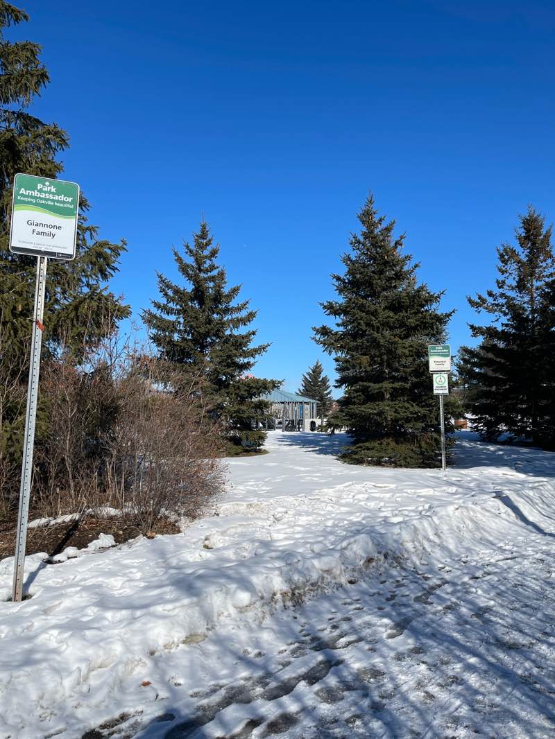 walking near me in Postridge Park in spring