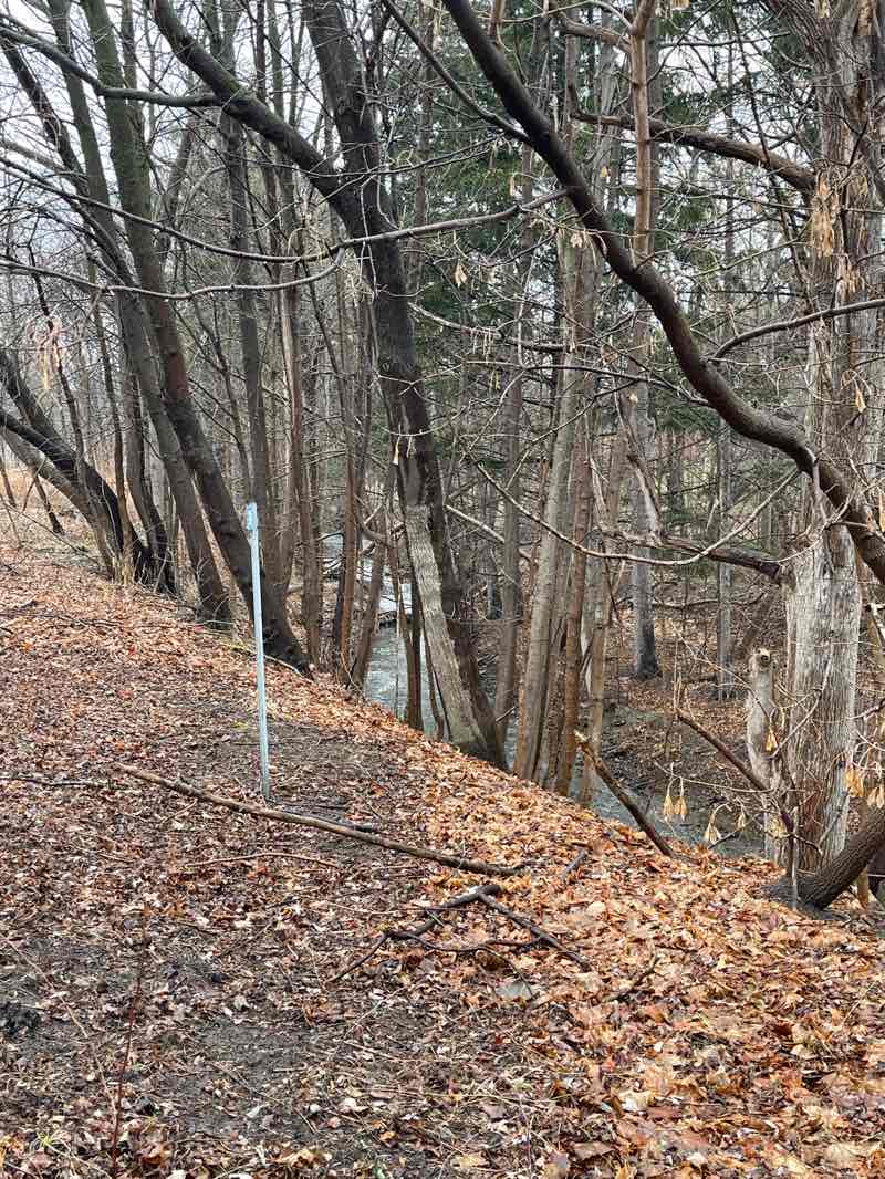 walking near me in Westgate Park in spring
