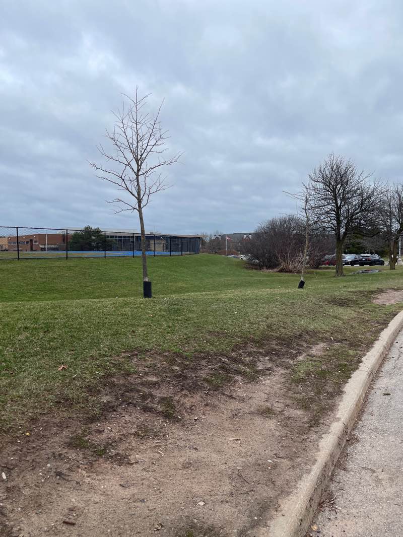 walking near me in Glen Abbey Park in spring