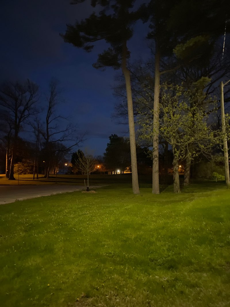 walking near me in Coronation Park in spring
