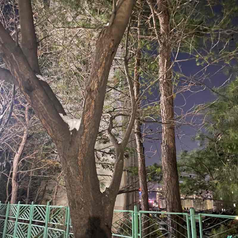 국수한사발 post 2