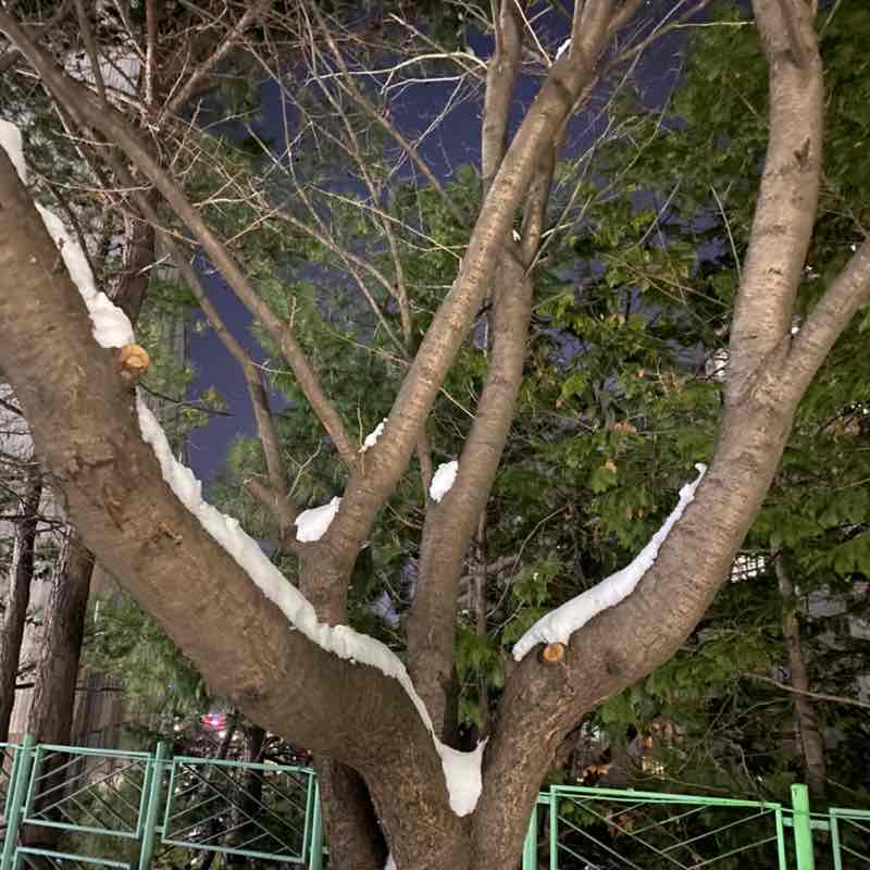국수한사발 post 3