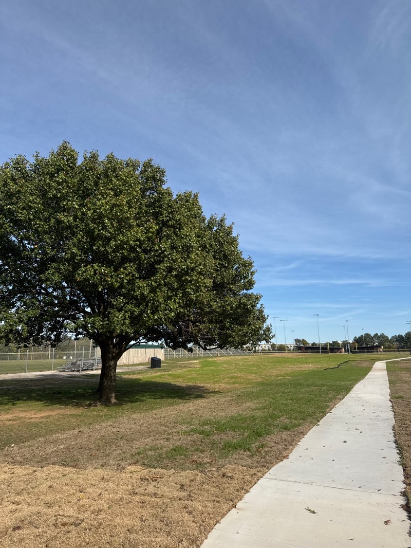 walking near me in Phillips Park in autumn
