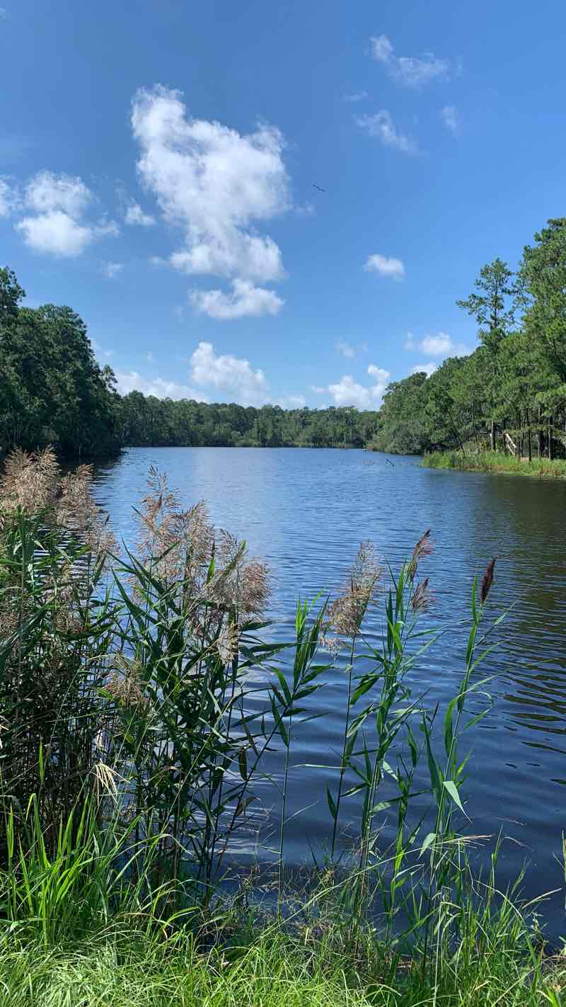 walking near me in Laurel Hill County Park in winter
