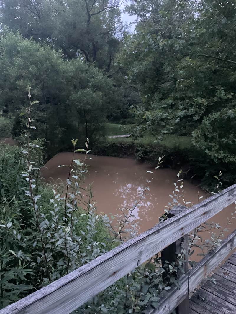 walking near me in Beech Fork State Park in winter