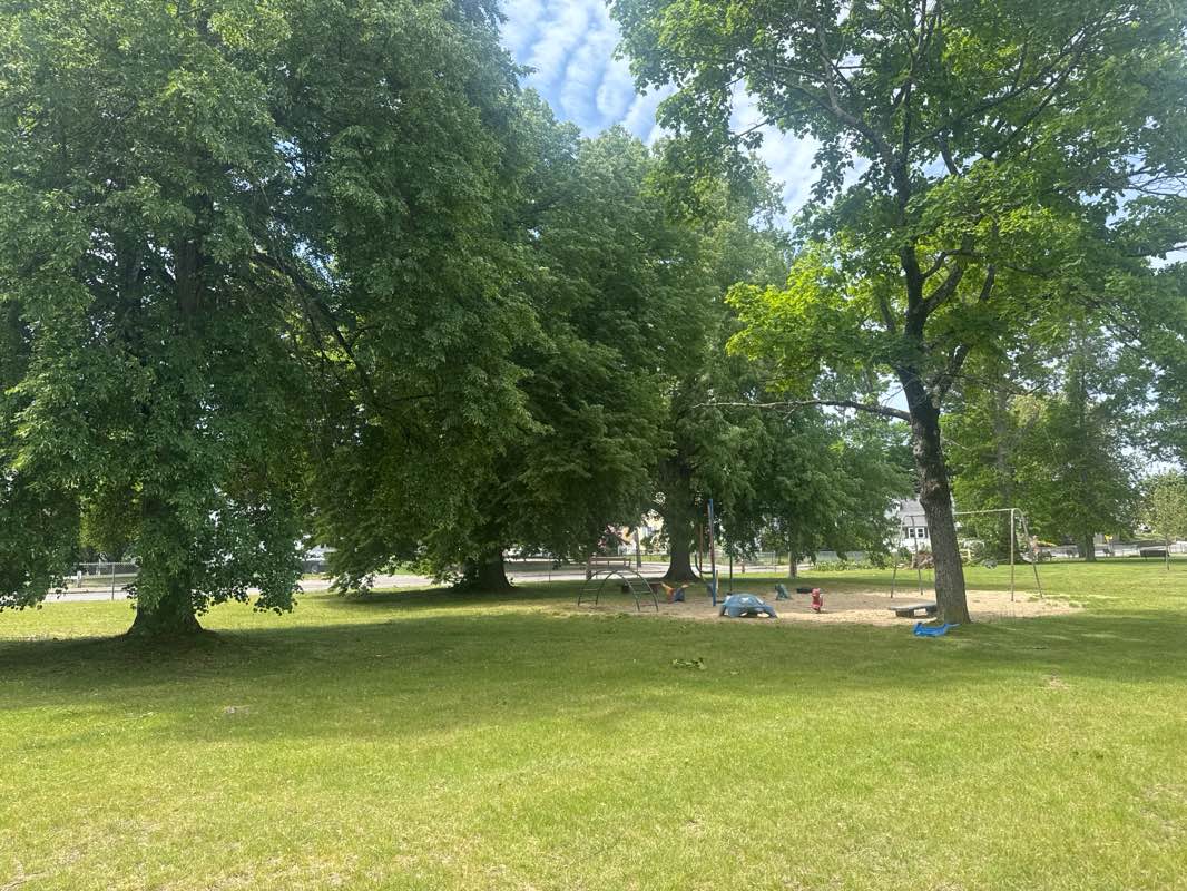 walking near me in Moose Park in summer