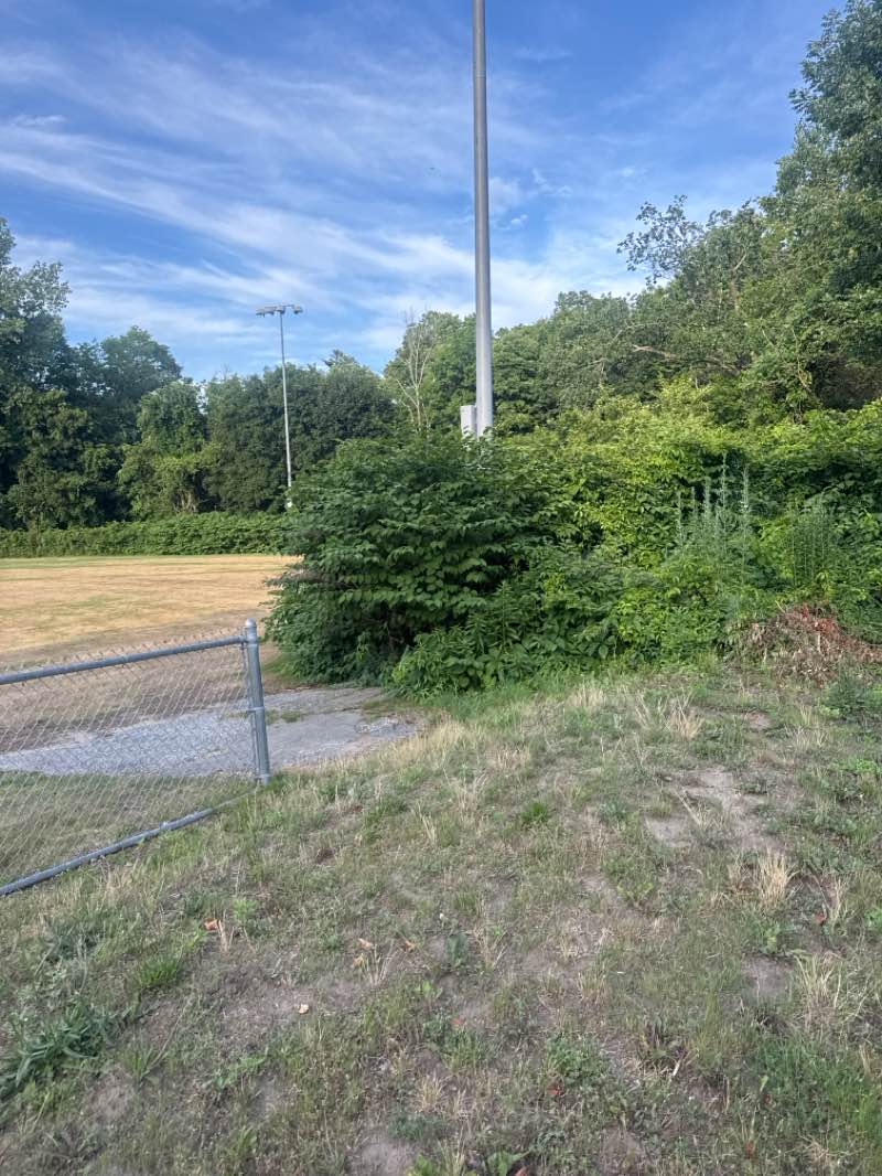 walking near me in Rotary Field in summer