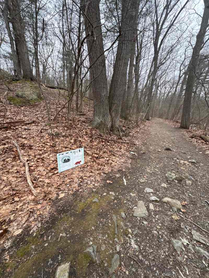 walking near me in Greenwood Park in spring
