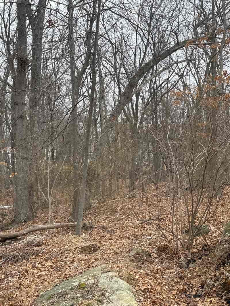 walking near me in Middlesex Fells Reservation in spring
