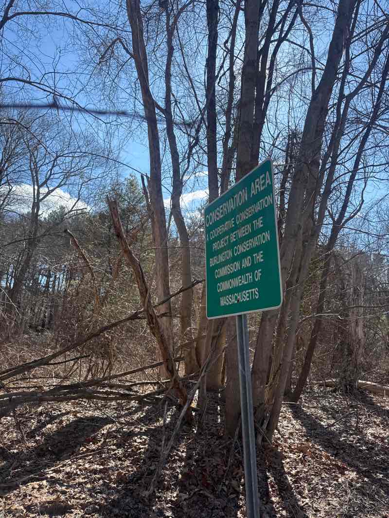 walking near me in Sandy Brook Conservation Area in spring