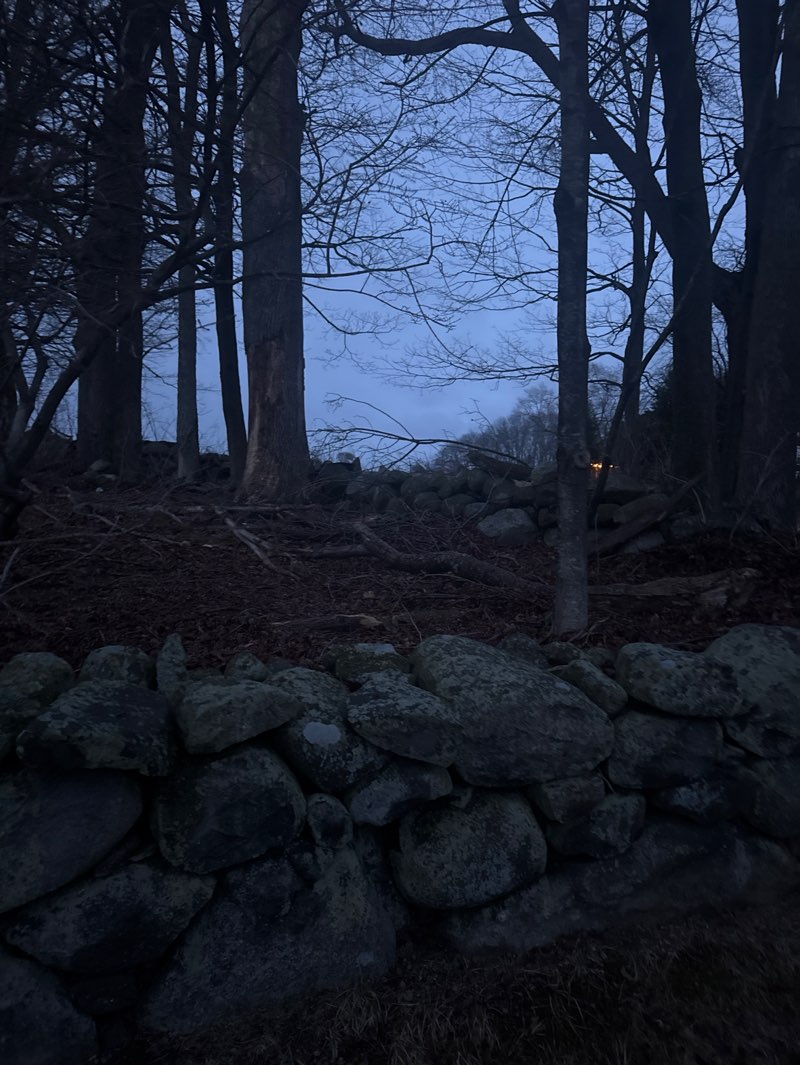 walking near me in Stevens Conservation Restriction in spring