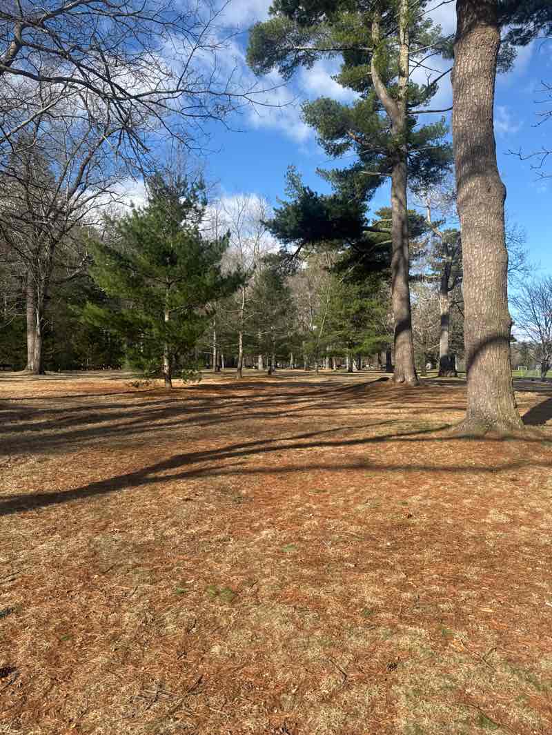 walking near me in Elm Bank Reservation in spring