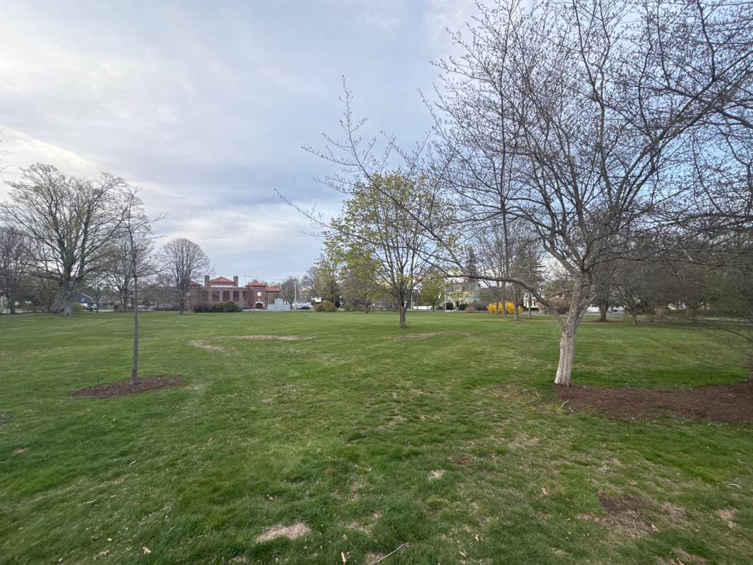 walking near me in Veterans Memorial Park in spring