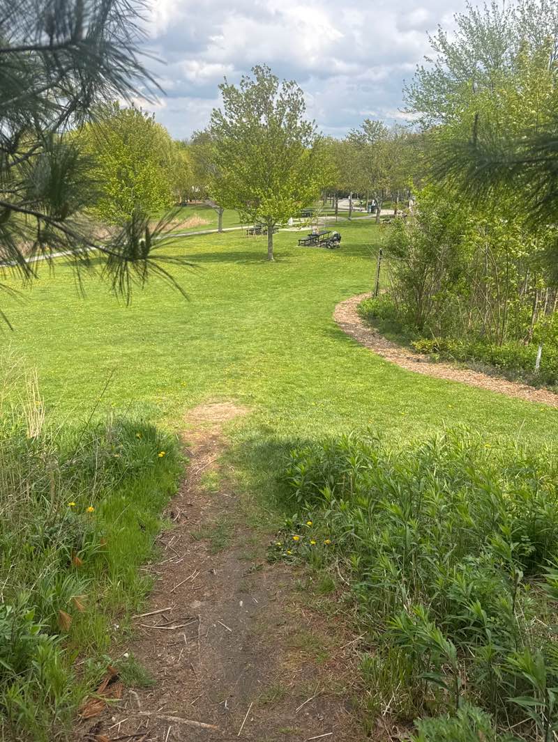 walking near me in Danehy Park in spring