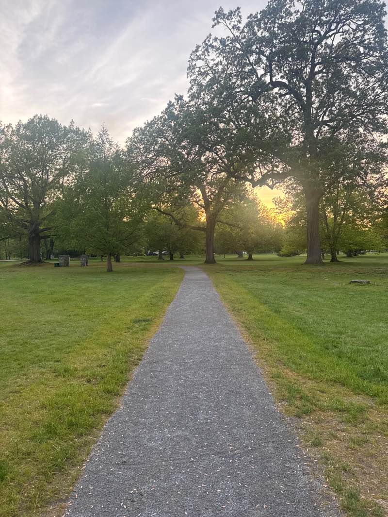 walking near me in Town Common in summer