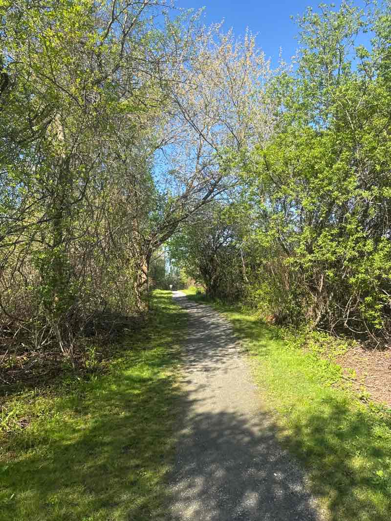 walking near me in Mary Cummings Park in spring
