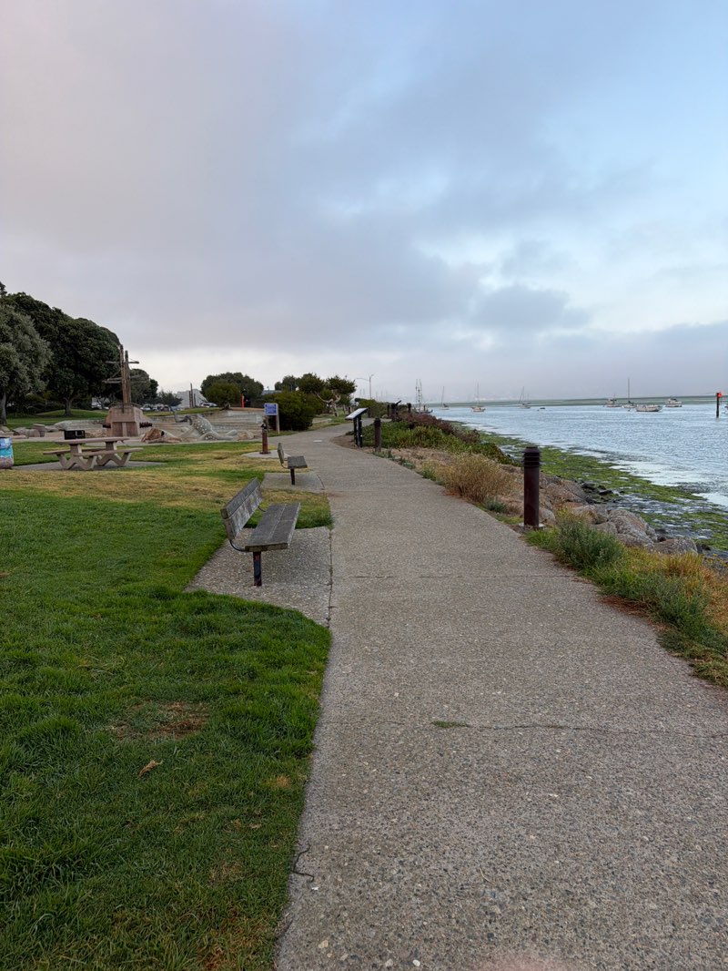 walking near me in Tidelands Park in summer